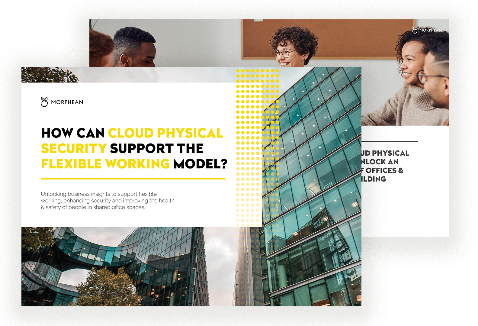 Download How can cloud physical security support the flexible working model?